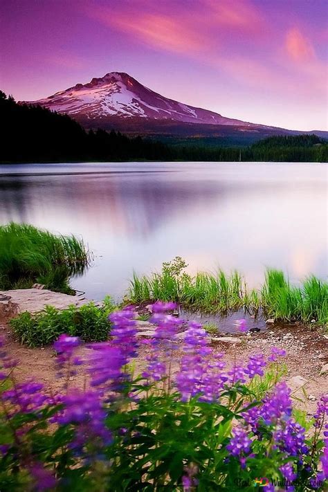 Elegant Nature Backgrounds Front Lake Hd Wallpaper Download