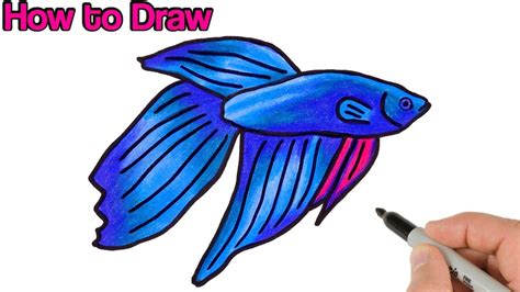 How To Draw Betta Fish Drawing And Coloring Art Tutorial Youtube
