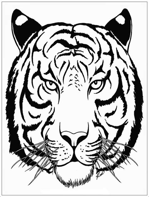Unduh 720 gambar harimau untuk logo terbaik gratis hd pixabay pro. Mewarnai Gambar Harimau - Mewarnai Gambar