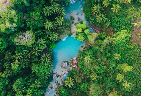 Wallpaper Island Palm Trees Top View Tropics Siquijor Philippines