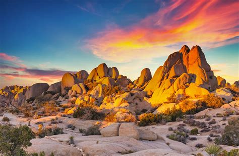 What To Do In Joshua Tree In December Icollegefind