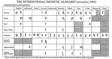 Edu Kids C D E International Phonetic Alphabet Type Phonetic