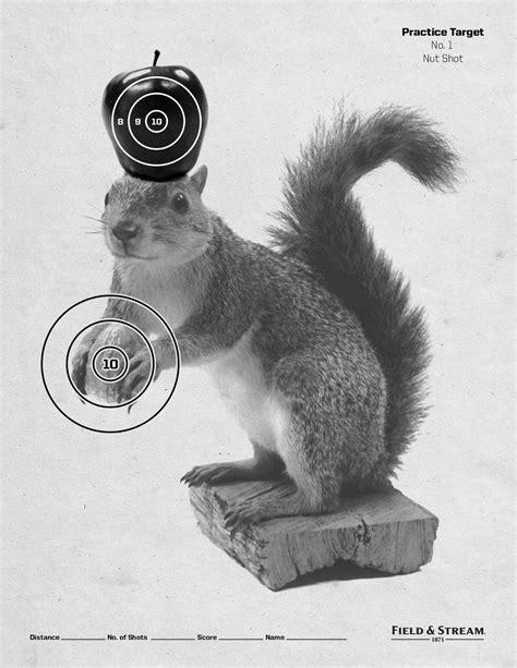 We are providing some targets to practice with animals images. Pin on Printable Targets