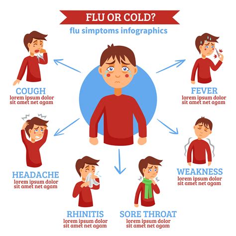 Common Cold Symptoms Cartoon Style Infographic Vector
