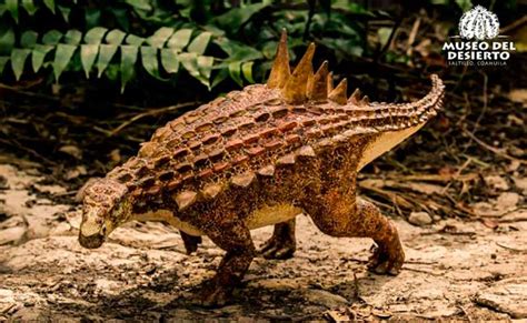 Descubren Nueva Especie De Dinosaurio En Coahuila • Teorema Ambiental