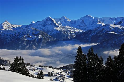Fonds Decran Saison Hiver Suisse Montagnes Beatenberg Picea Neige
