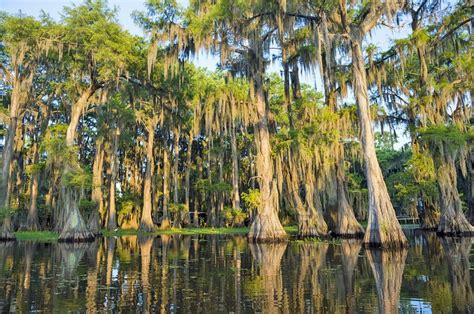14 Top Rated Tourist Attractions In Louisiana Planetware