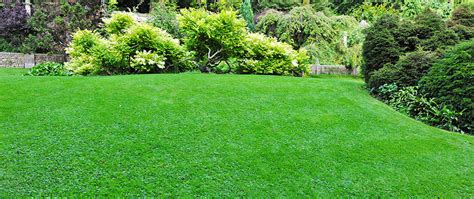 Why Your Lawn Needs Fall And Winter Fertilization Sure Green Lawn