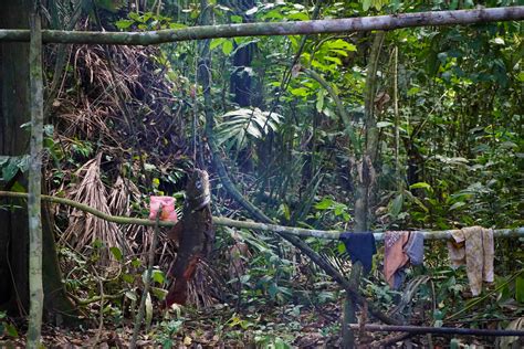 The Jungle - The Bolivian Amazon - GET LOST & BE FOUND