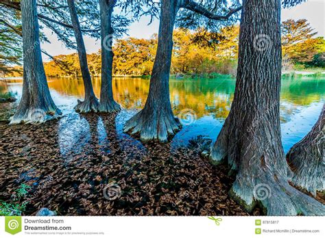 Fall Foliage On The Crystal Clear Frio River In Texas Stock Image