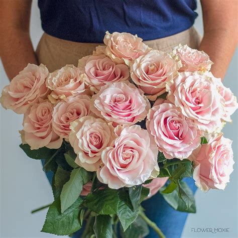 Soft Pink Mondial Roses Bulk Diy Wedding Flowers Flower Moxie