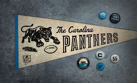 Carolina Panthers Hidden History On Behance Carolina Panthers