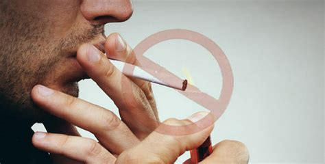 czech senate passes historic smoking ban prague czech republic