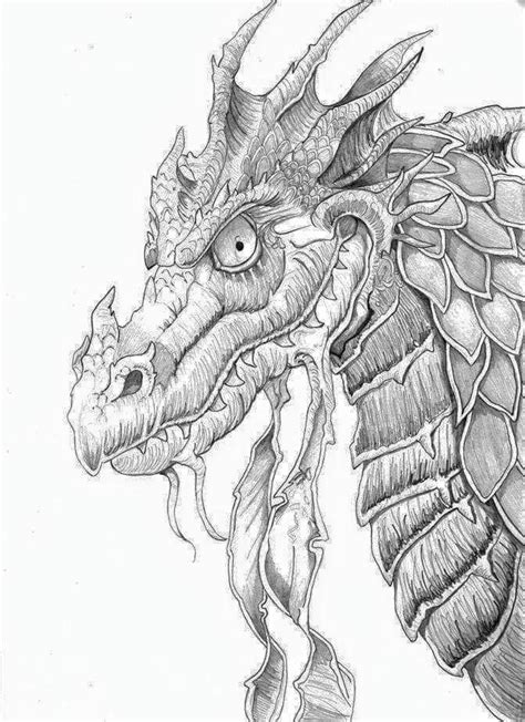 Dragon colouring pages for adults. Pin on Secret Garden