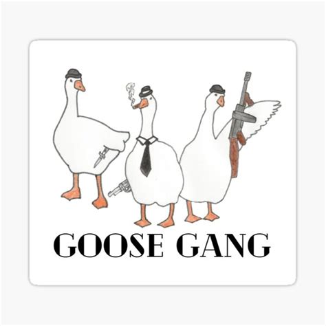 Do You Have Goose Gangs In Your Neighborhood Page 3 Sherdog Forums