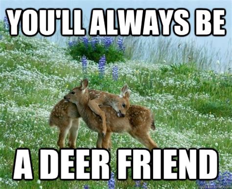 Deer Friend Memes Quickmeme