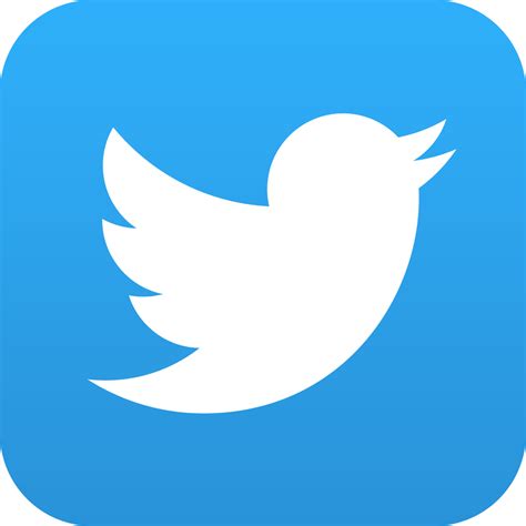 Twitter app icon for iOS - iAccessibility