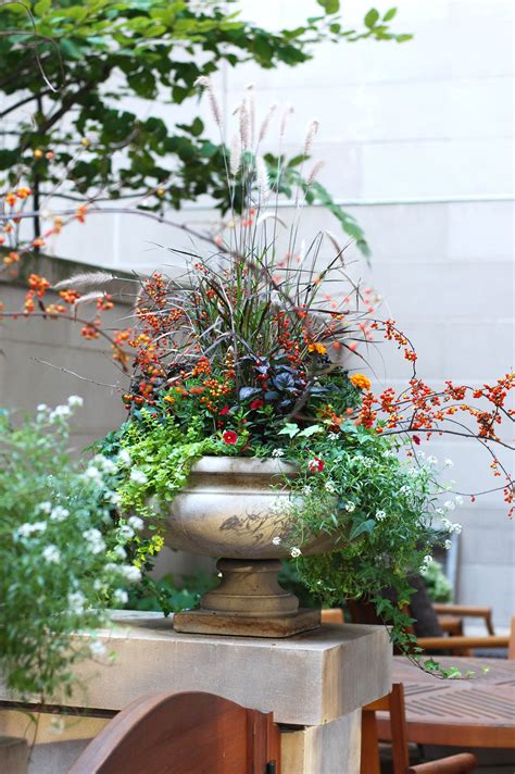 Fall Annuals Container Planter Terrace Landscape Design Urban Garden