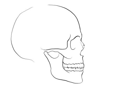 Sideways Skull Drawing At Getdrawings B84 Easy Skull Drawings Skull