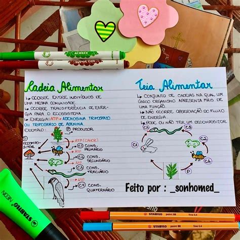 Cadeias Alimentares Mapa Mental
