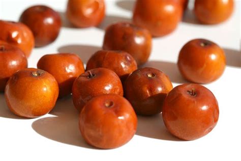 Jujube lotus Jujube du Sahara Pas toujours fameuse la