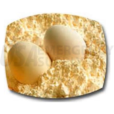 Powdered Whole Eggs Rainy Day Foods Number 10 Can Usa