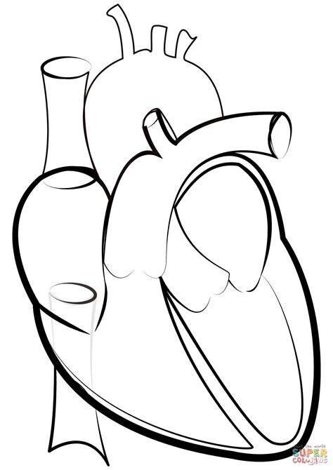 Heart Outline Coloring Page Free Printable Coloring Pages