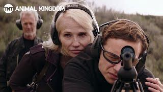 Animal Kingdom Season 6 - watch episodes streaming online