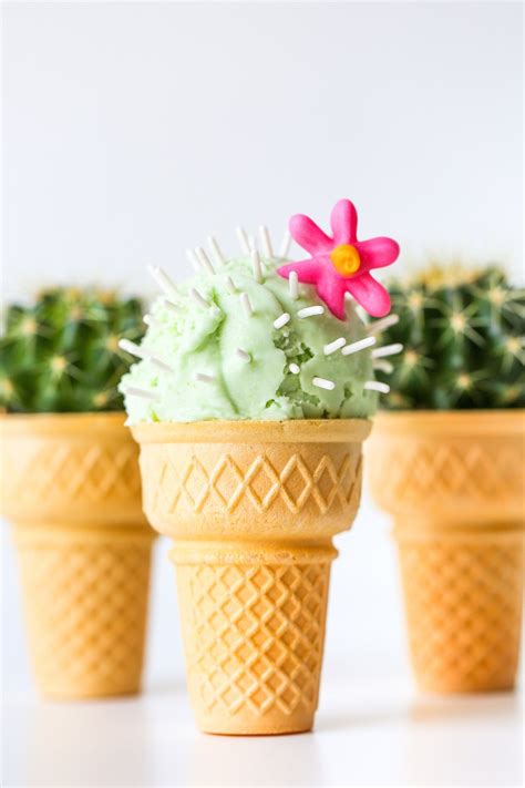 Nothing was missed and the bay in the background. Theme Party Inspiration - 20+ Cactus Theme Party Ideas ...