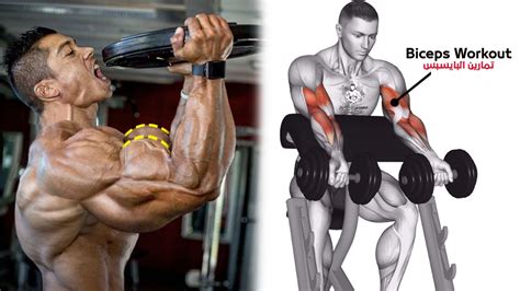 أقوى 6 تمارين عضلة البايسبس كمال الاجسام - How To Build Your Biceps