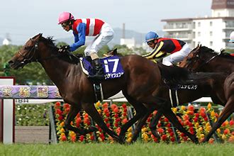 34 266 tykkäystä · 362 puhuu tästä. ウマ娘攻略!「ナカヤマフェスタ」の特徴! - 競馬予想情報や ...