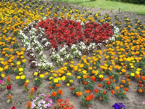 Dateiflower Bed Shaped Heart Central Park West Gyömrő Hungary