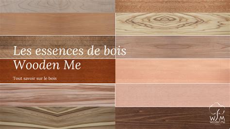 Les Essences De Bois Wooden Me Et Leurs Particularités Woodenmeparis