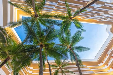 Maybe you would like to learn more about one of these? Why You Need Club Lounge Access at the Hyatt Regency Maui ...