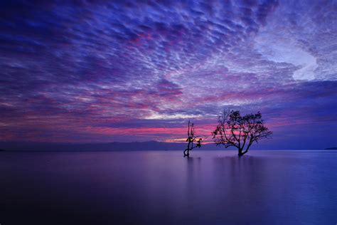1027781 Trees Landscape Sunset Sea Night Reflection Sky Sunrise