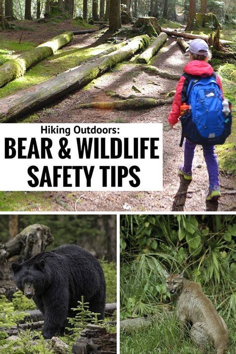 Hiking Outdoors Bear And Wildlife Safety Tips Outdoor Hiking Camping