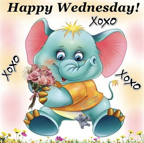 Pin On Wednesday Greetings