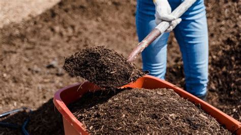 How To Turn Clay Soil Into Garden Soil The Gardeners Coach Marion Owen