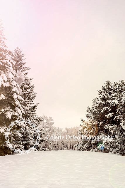 Winter Wonder ~ Backdrops Canada Christmas Backdrops Backdrops