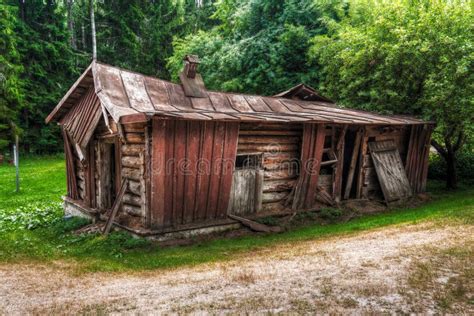 Abandon Collapsed Log Cabin Stock Image Image Of Ancient Forest