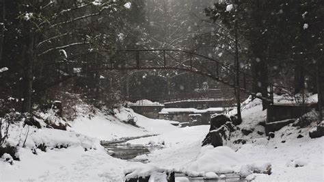 Wallpaper River Bridge Snow Trees Winter Hd Picture Image