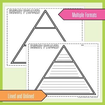 Energy Pyramid Graphic Organizer Template No Prep Printable And Digital