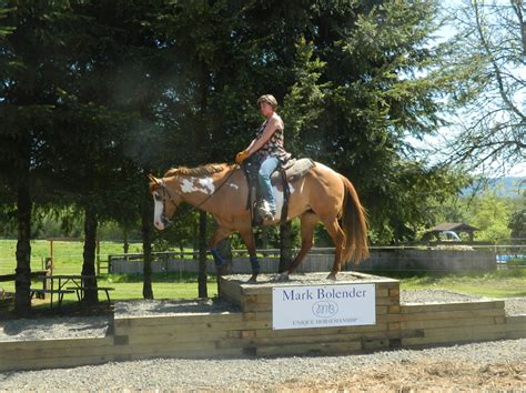 We did not find results for: Mastering the Texas Two-Step - NW Horse Source