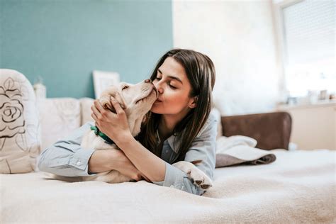 Bringing Home a New Puppy or Kitten: Complete Guide | Live Better