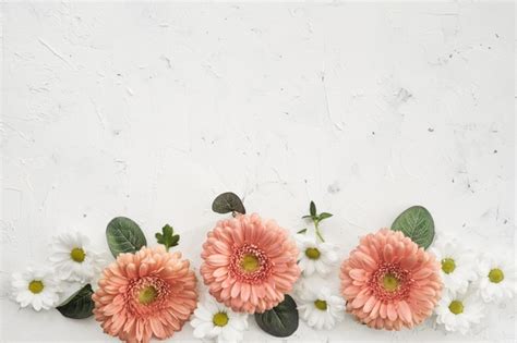 Maybe you would like to learn more about one of these? Gerbera fiori con margherite e copia spazio | Foto Gratis