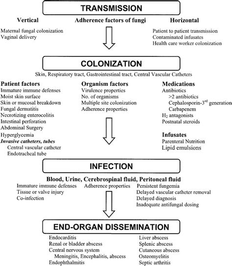 Pathogenesis Of Fungal Colonization And Infection Download