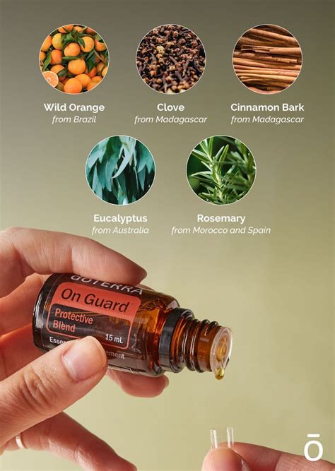 Essential Oils For Cough Calming Essential Oils Essential Oil