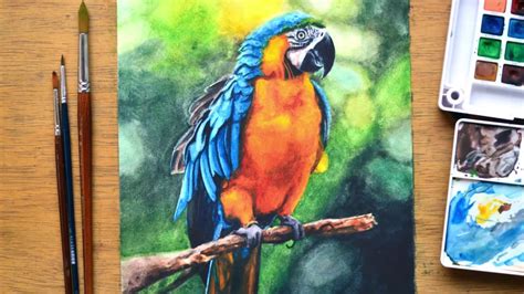 Painting Realistic Parrot In Watercolor Youtube
