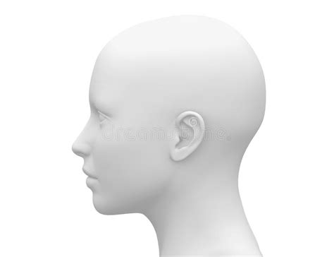 Blank White Female Head Side View Stock Illustration