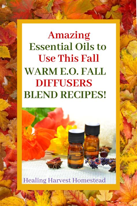 Essential Oils To Use This Fall For Scent And Health Benefits — All